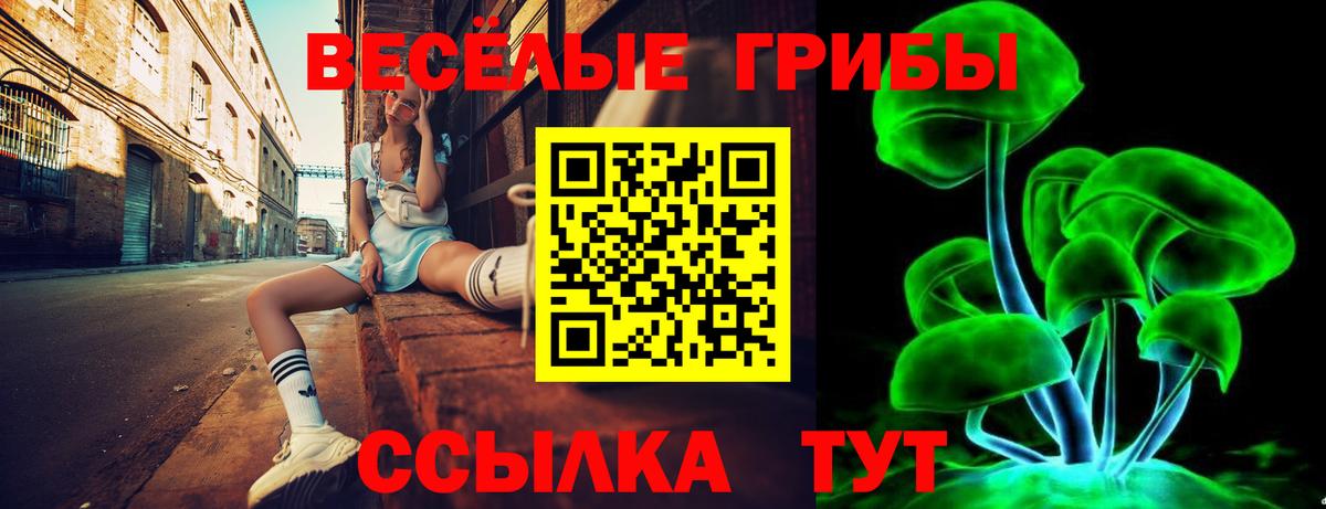 Амурск  Галлюциногенные грибы Psilocybine cubensis  Вход с VPN 